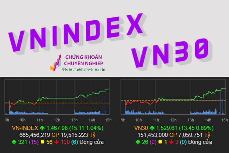 Chỉ số VNINDEX và VN30 là gì? Cách tính chỉ số VNINDEX